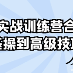Ai实战训练营合集基操到高级技巧