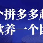 一个拼多多超级爆款养一个团队